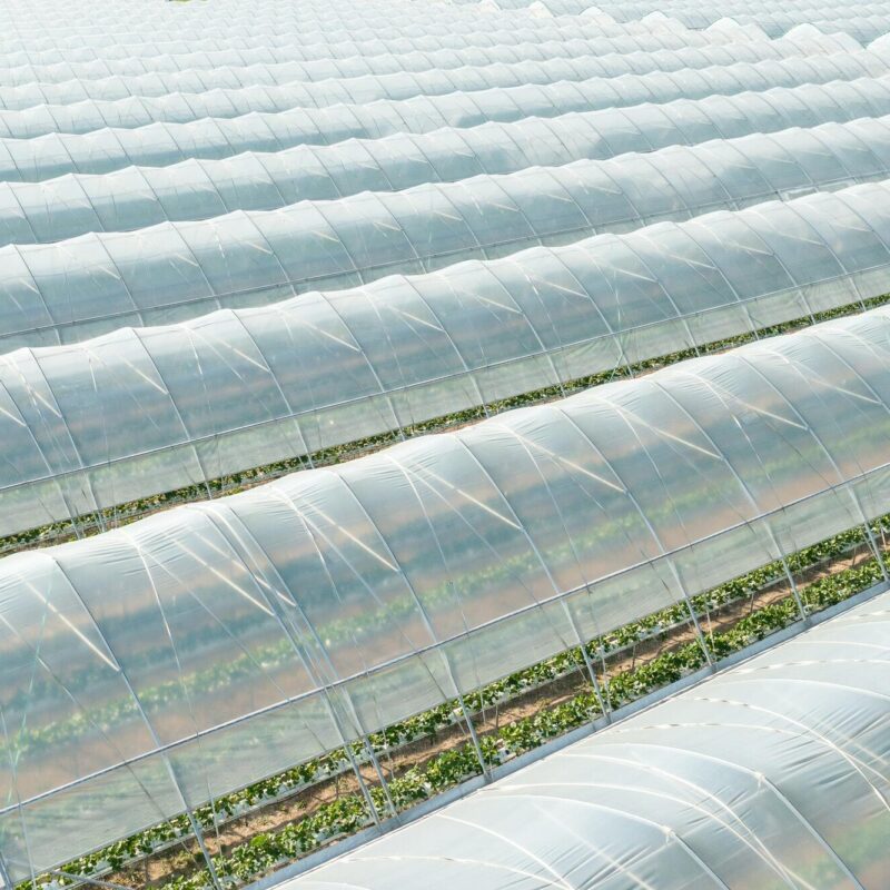 Close up long greenhouses covered with transparent film for planting vegetables